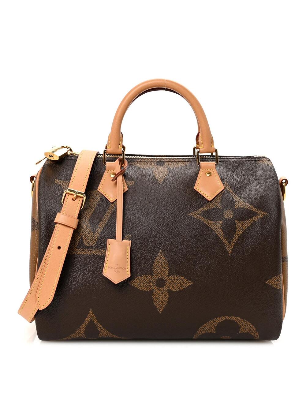 Louis Vuitton Reverse Giant Speedy #363240L33B